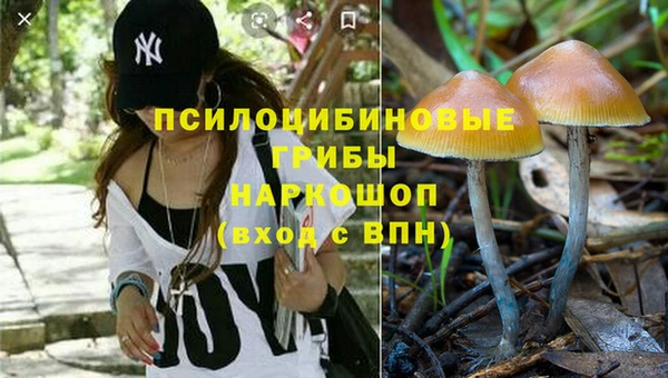 амф Богданович
