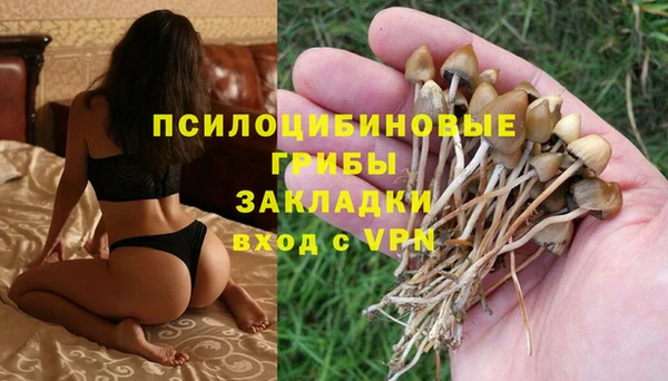 бутират Богородицк