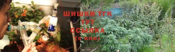 амф Богданович