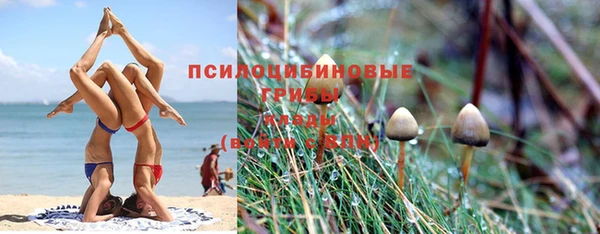 мет Богородск
